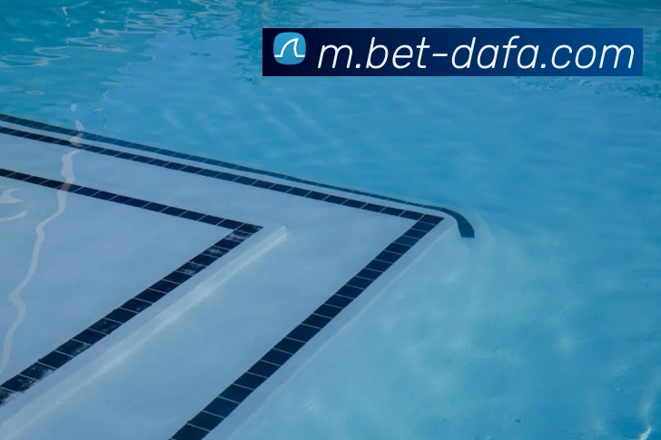 大发官网发展历程